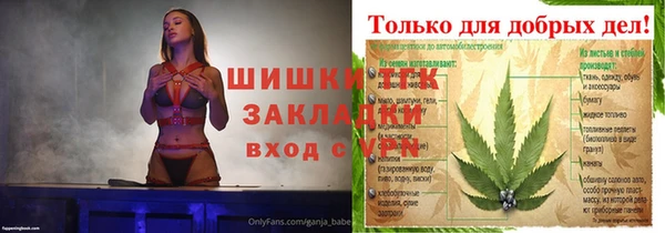 ГАЛЛЮЦИНОГЕННЫЕ ГРИБЫ Балахна