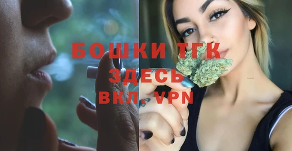 ГАЛЛЮЦИНОГЕННЫЕ ГРИБЫ Балахна