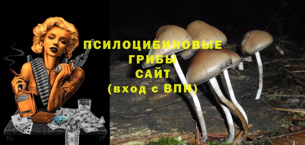 ГАЛЛЮЦИНОГЕННЫЕ ГРИБЫ Балахна