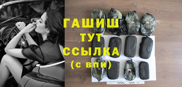 ECSTASY Богданович