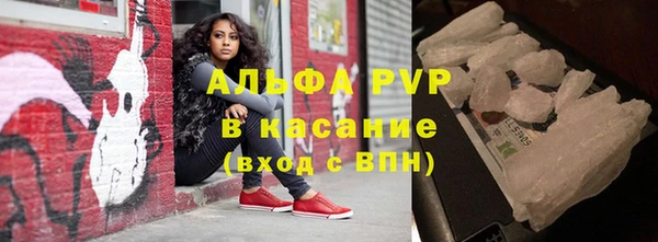 ПСИЛОЦИБИНОВЫЕ ГРИБЫ Баксан
