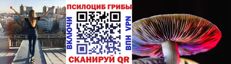Псилоцибиновые грибы MAGIC MUSHROOMS купить наркотики цена Обь