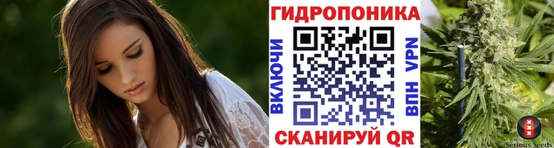 дарнет шоп  Обь  Конопля сатива 